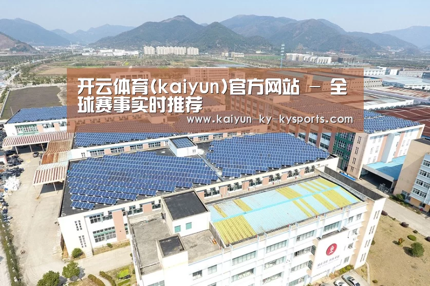 案例展示二