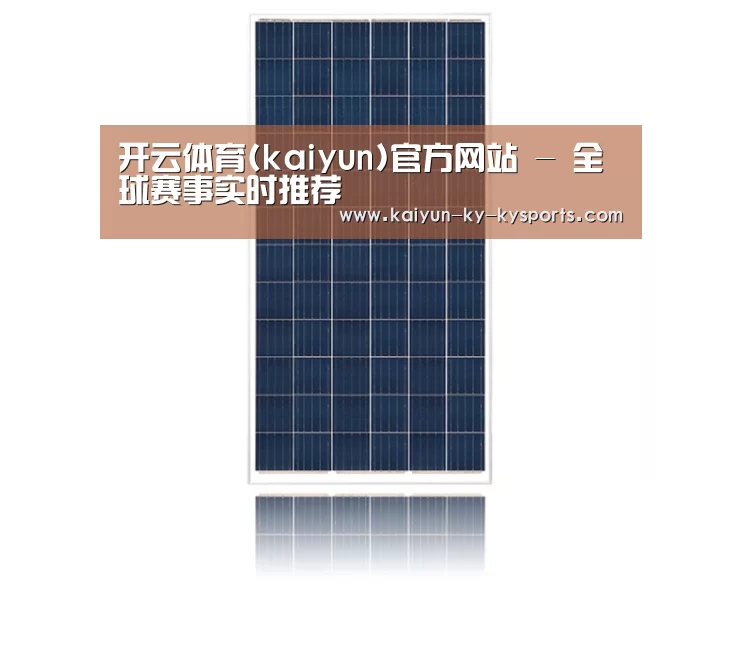 产品名称一