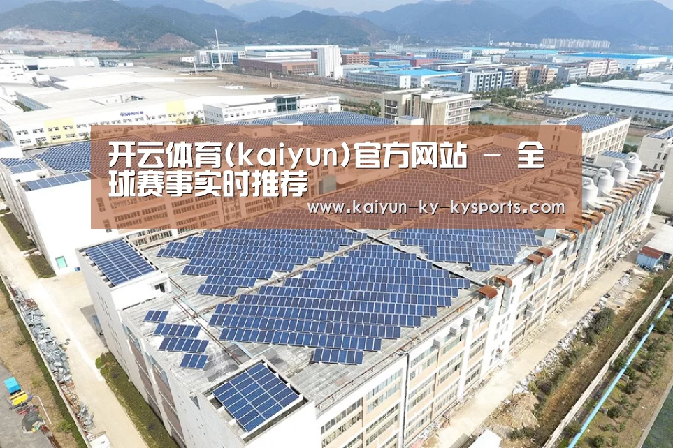 案例展示三