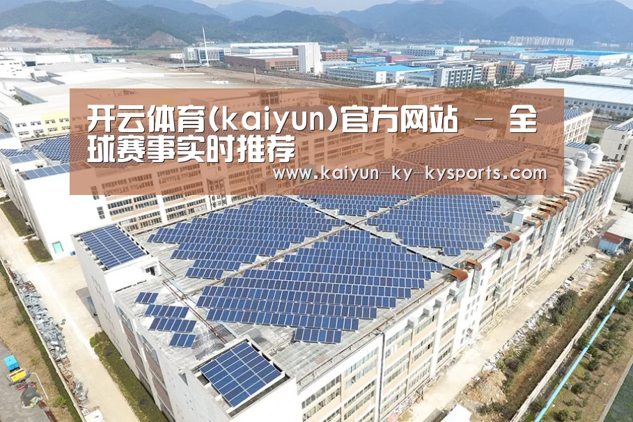 案例展示四