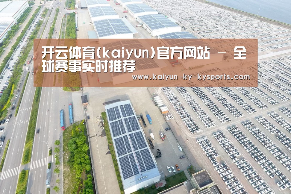 案例展示一