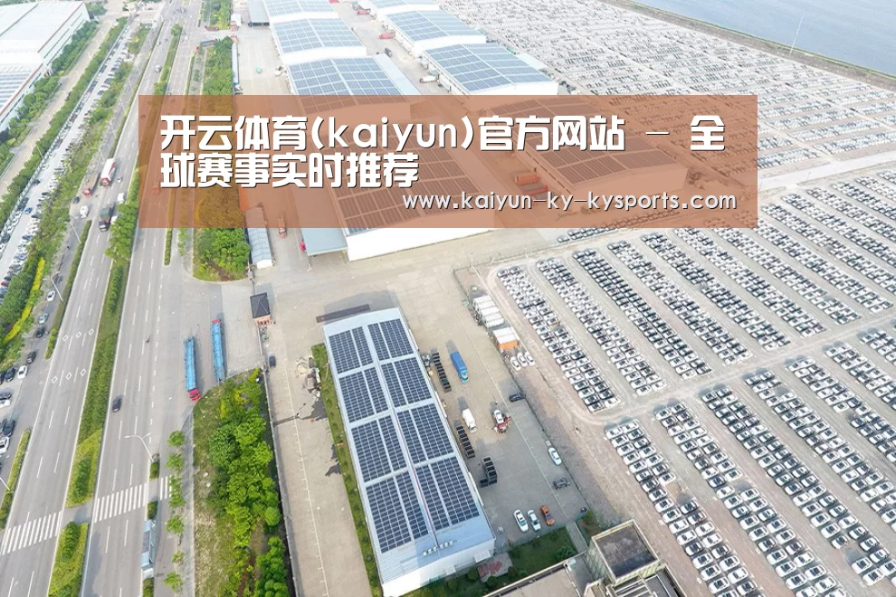 案例展示一
