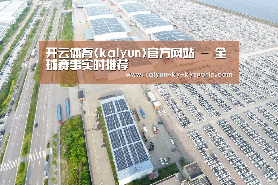 案例展示四