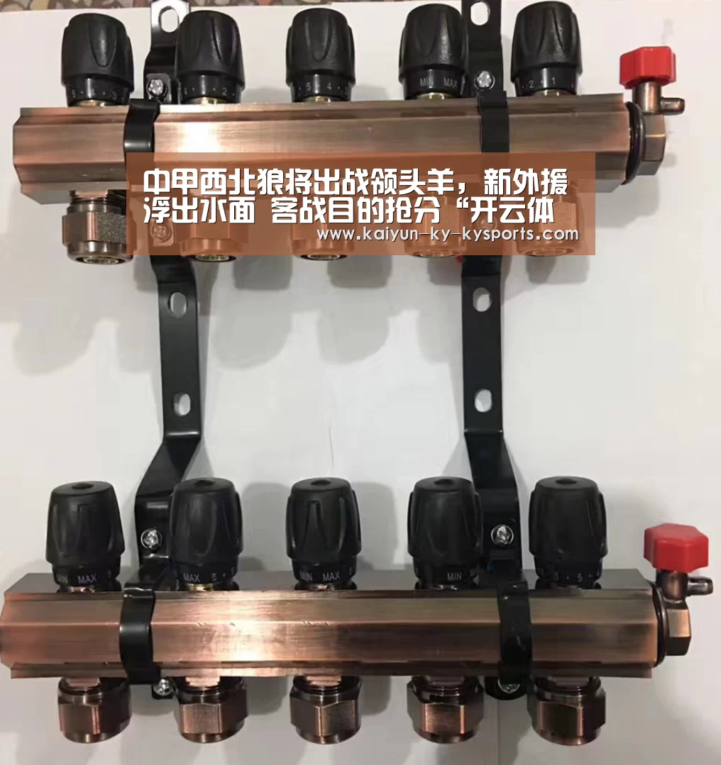 开云体育官方下载