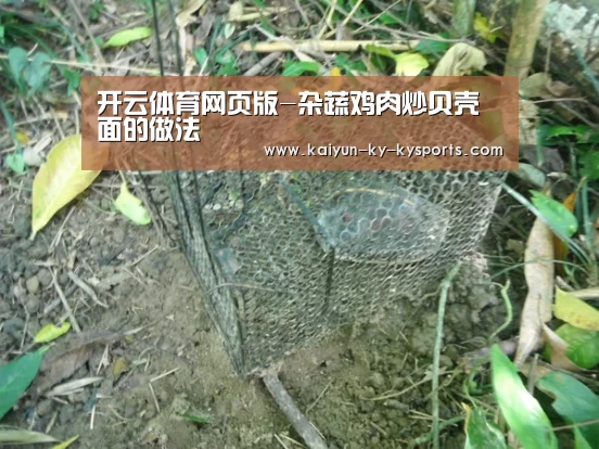 kaiyun中国官网