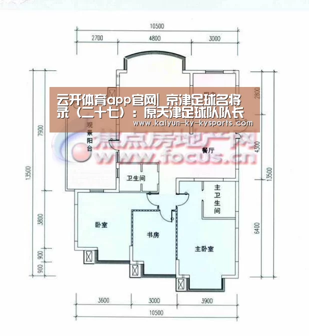 开云体育网页版