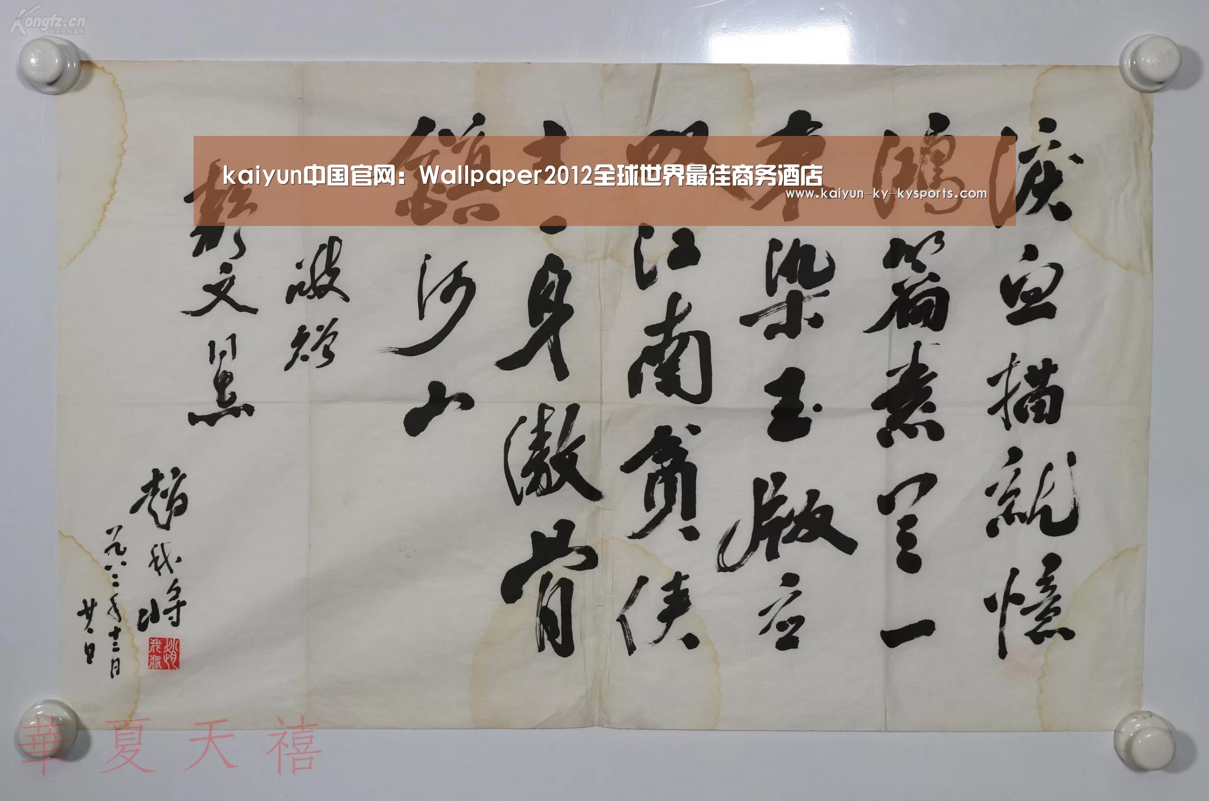 开云体育官方下载