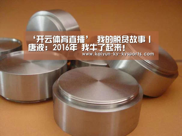 开云体育直播