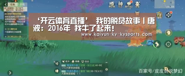 开云体育登录入口